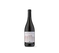 Winzerberg Blauburgunder Pinot Nero 2024 Alto Adige DOC - Vino Rosso, Südtirol, Fruttato e Leggero, Uve Selezionate, 0.75L