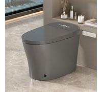 WinZo ADA WC intelligente con bidet integrato, WC monoblocco con apertura/chiusura automatica e scarico, sedile riscaldato, lavaggio anteriore e posteriore, display a LED, luce notturna, 30,5 cm