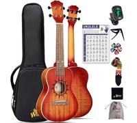 Winzz Ukulele Concerto per Adulti Principianti, Ukulele Mogano 23 pollici Startter Kit, Set di Regali per Ukulele per Bambini, Disegno Unico (Corde di Carbonio, Opaco Sunburst)