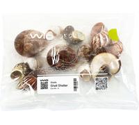 WIO Shell Shelter Mix2 - 2 L