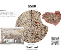 WIO Shellbed - Mix2