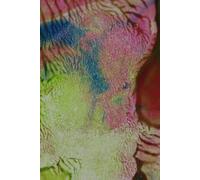 WiR Notizheft #09: unter dem gleichen Himmel