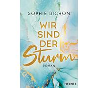 Wir sind der Sturm: Roman: 2