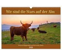 Wir sind die Stars auf der Alm (Wandkalender 2026 DIN A3 quer), CALVENDO Monatskalender: Tierische Begegnungen auf Österreichs Almen