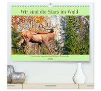 Wir sind die Stars im Wald (hochwertiger Premium Wandkalender 2026 DIN A2 quer), Kunstdruck in Hochglanz: Tiere in den zauberhaften Wäldern Österreichs