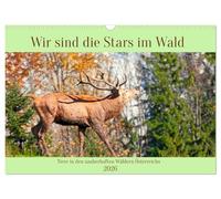 Wir sind die Stars im Wald (Wandkalender 2026 DIN A3 quer), CALVENDO Monatskalender: Tiere in den zauberhaften Wäldern Österreichs