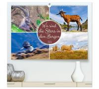 Wir sind die Stars in den Bergen (hochwertiger Premium Wandkalender 2026 DIN A2 quer), Kunstdruck in Hochglanz: Tiere in den Bergen Österreichs