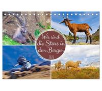Wir sind die Stars in den Bergen (Tischkalender 2026 DIN A5 quer), CALVENDO Monatskalender: Tiere in den Bergen Österreichs