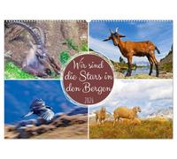 Wir sind die Stars in den Bergen (Wandkalender 2026 DIN A2 quer), CALVENDO Monatskalender: Tiere in den Bergen Österreichs
