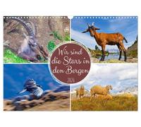 Wir sind die Stars in den Bergen (Wandkalender 2026 DIN A3 quer), CALVENDO Monatskalender: Tiere in den Bergen Österreichs