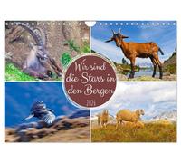Wir sind die Stars in den Bergen (Wandkalender 2026 DIN A4 quer), CALVENDO Monatskalender: Tiere in den Bergen Österreichs