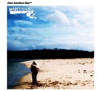 Wire Daisies - Just Another Day