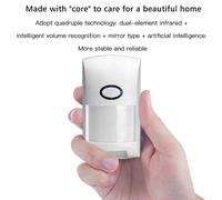 Wireless di Movimento Sensore di Allarme Monitor Home