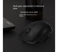 Wireless Mouse Bluetooth for Computer Laptop Dual Mode Ergonomic Recha