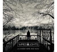 Wires & Lights A Chasm Here and Now (Vinyl LP)