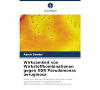 Wirksamkeit von Wirkstoffkombinationen gegen XDR Pseudomonas aeruginosa