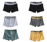 WIRPORR Boxer Uomo 6 Pacchetti di Mutande da Uomo Shorts Cotone Pantaloncini Boxer Traspiranti Comodi Morbidi Traspiranti più Dimensioni-Colore Misto-XXL 65-75kg-6 Pezzi