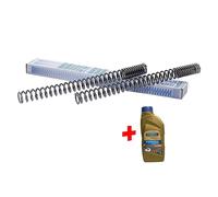 Wirth molle forcella progressivo e olio per Sachs Roadster 800 anno 2000-2004