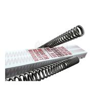 WIRTH Set Di Molle A Forcella Progressive (Con ABE) - Beta Rev 250 (4T) (Trial)