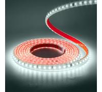 Wisada Striscia LED 220V SMD 2835, 120 LEDs/m, IP65 Impermeabile, Striscia LED Flessibile per Lucernario Soggiorno Decorazione Cucina (Bianco (6000-6500K), 1M)