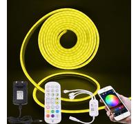 Wisada Striscia LED Neon RGB 12V, Striscia LED Flessibile Impermeabile IP65 con Controller IR Graffiti WIFI Music Sync, Adatta per Feste, Sala Giochi, Interni ed Esterni [2M]