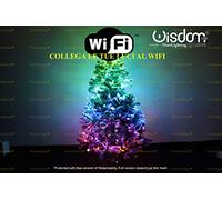 WISDOM CATENA LUMINOSA SMART DOMOTICA LUCI PER ALBERO E ADDOBBI DI NATALE CON APP ANDROID E IOS GESTIBILI TRAMITE WIFI