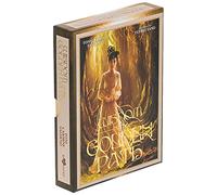 Toni Carmine Salerno Wisdom of the Golden Path (Mixed Media Product)