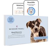 Wisdom Panel per la rilevazione di Razze di Cani Dna Test Kit - ID Razza precisa MDR1 parentesi