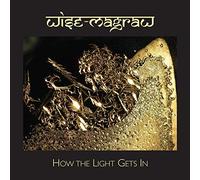 Wise-Magraw How the Light Gets In (CD) Album