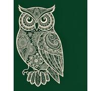 Wise Owls: An owl-themed composition notebook for your words of wisdom