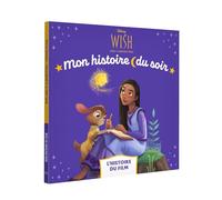 Wish, Asha et la bonne étoile: L'histoire du film