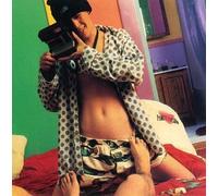 Wish I'd Taken Pictures by Pansy Division