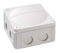 Wiska 10060531 Cassetta di derivazione (L x L x A) 110 x 110 x 66 mm Grigio (R