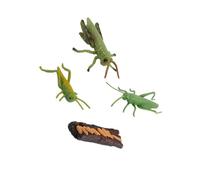 wisoolkic Ciclo di crescita degli animali Sussidi didattici Aula Set da gioco per la crescita degli insetti Arricchisci l'immaginazione dei bambini attraverso il divertimento