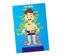 wisoolkic Insegnamento educativo prescolare umano Narrazione Apprendimento precoce con le parti del corpo Set di tavole di storie Strumento apprendimento divertente interattivo Parti del corpo Parole