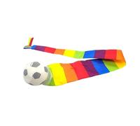 wisoolkic Palla meteora colorata con coda che migliora la capacità di presa, rendendo facile per i bambini lanciarla e afferrarla. La palla lanciata e afferrata con coda offre una lunga durata e