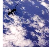 Witches, the - On Parade