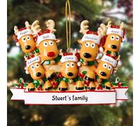 witfox Decorazioni natale personalizzate con 2/3/4/5/6/7/8 nomi di famiglia - 2024 ciondolo di Natale personalizzate in resina Regali di Natale personalizzati per la famiglia, il partner e gli amici 7