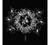 With the End In Mind Unraveling; Arising (Vinyl LP) 12" Album