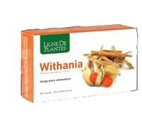 Withania 60 capsule