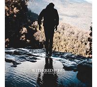 Withered Bones - In Search Of Self-Evidence
