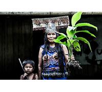 Witjai. Il gene verde della razza umana