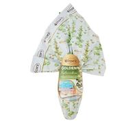 Witor's Uovo di Pasqua Golden Pistacchio, Cioccolato al Latte 300g