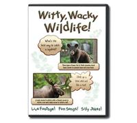 Witty, Wacky Wildlife! Live Footage! Fun Songs! Silly Jokes!