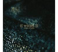 Witxes A Fabric of Beliefs (CD) Album
