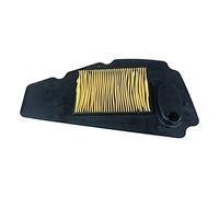 Wivplex Filtro aria for motociclette Pulitore aspirazione motocicletta NSS250 Forza 250 EX-5 2005-2007 NSS 250 Filtro aria per moto