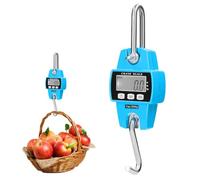 WIYETY Bilancia portatile digitale da 300 kg, bilancia da appendere, bilancia digitale con gancio, mini bilancia portatile con ganci, bilancia digitale LCD per bagagli per fattoria, fabbrica, caccia