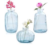 WIYETY Set di 3 piccoli vasi in vetro minimalisti: moderni vasi di fiori, vaso in vetro trasparente, per decorazione da tavolo, soggiorno, camera da letto, matrimonio, compleanno, bagno