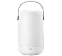 Lampada mobile WiFi portatile WiZ 13,5W Bianca