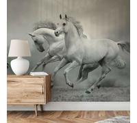 Wizard & Genius Mural Carta Da Parati Cavalli Grigi 151x102 Pollici
